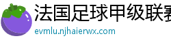 法国足球甲级联赛